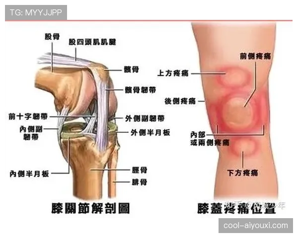 篮球规则中连续动作判定：标准与依据的详细解析